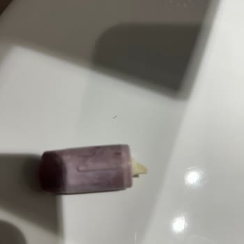 Klozet Kapağı Menteşe Mekanizması Kısa Sürede Kırıldı