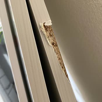 Hasarlı Teslimat Ve Geciken Ürün Değişimi Nedeniyle Mağduriyet