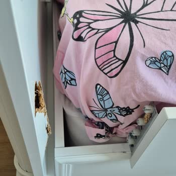 Garanti Kapsamındaki Ranza Başlığı Sorununda Destek Alamıyorum