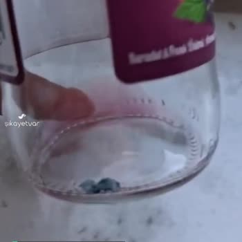 Freşa Extra Vitaminli Karadut Ve Kara Üzümlü!
