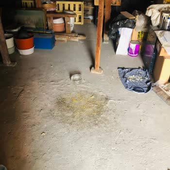 Komşunun Güvercinlere Yem Atması Nedeniyle Balkonlarımızı Kullanamıyoruz