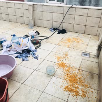 Komşunun Güvercinlere Yem Atması Nedeniyle Balkonlarımızı Kullanamıyoruz