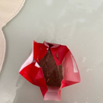 Çikolatadan Kurt Çıkması Ve Ürün İadesi Talebi