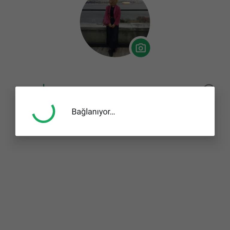 WhatsApp Profil Kurulumunda Sürekli Bağlantı Hatası Yaşıyorum