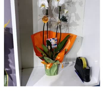 Siparişimde Solgun Orkide Gönderildi Otomatik Onayla İade Reddedildi