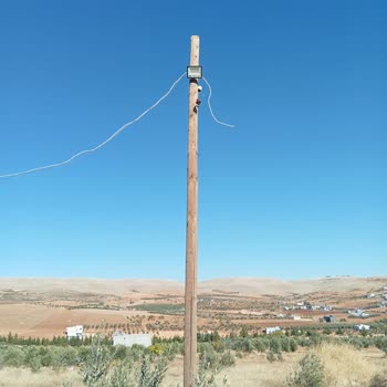 Elektrik Kablosu 1 Aydır Onarılmadı, Sağlık Sorunları Yaşanıyor