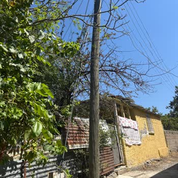 İhmal Edilen Elektrik Endeksi Ve Tehlikeli Direk: Acil Müdahale Talebi