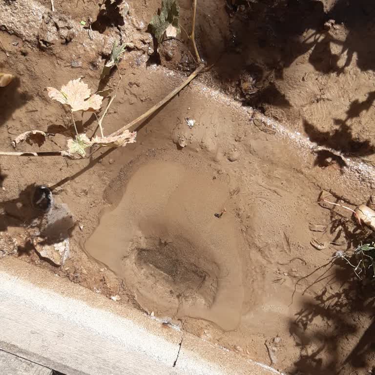 Belediye Su Borusu Patlağı Sonrası 4 Gündür Müdahale Bekliyorum: Bahçem Ve Evim Zarar Gördü