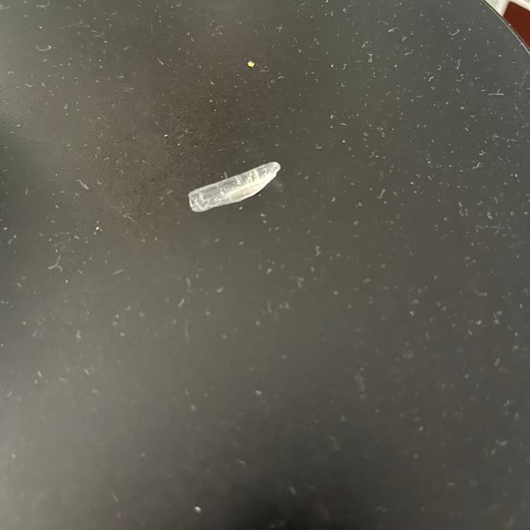 Torku Sütünde Cam Parçası Şoku: Bebeğim Tehlike Atlattı!