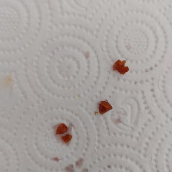 Pol's Gurme'den Şikayetçiyim