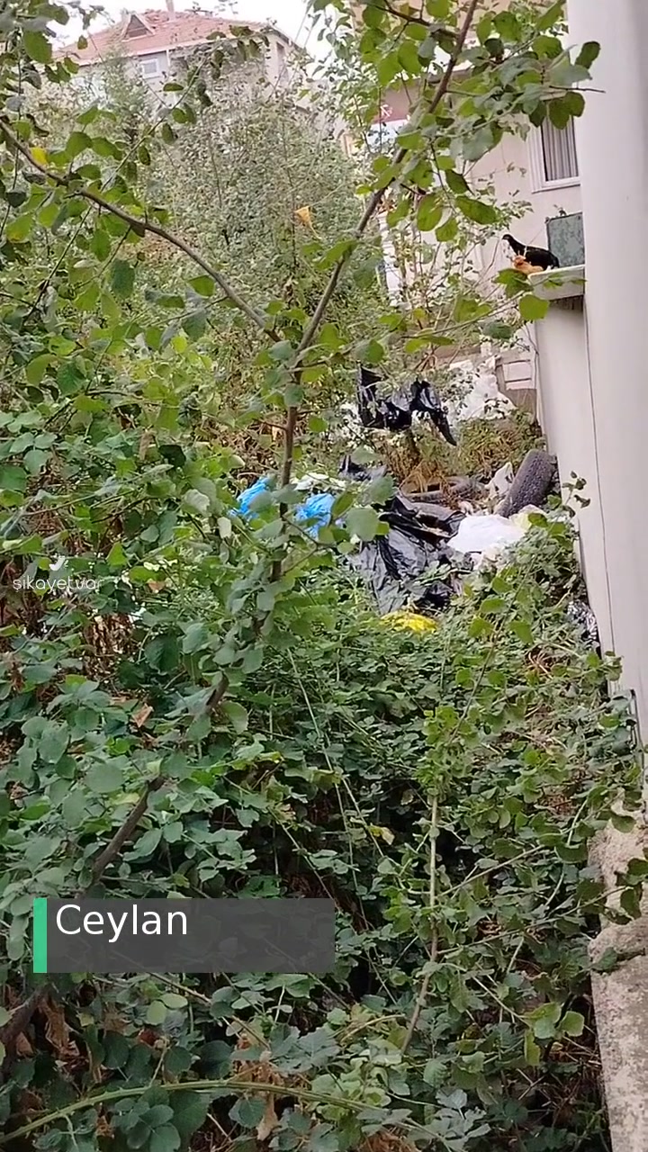 Kocaeli Darıca Çevre Temizliği Sorunu! videonun kapak resmi