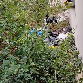 Kocaeli Darıca Çevre Temizliği Sorunu!