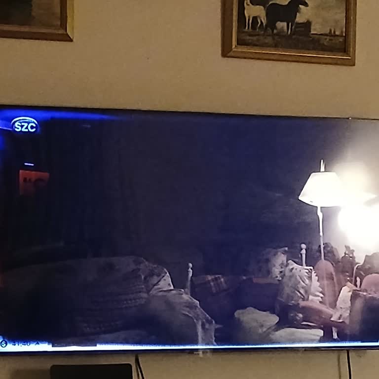 Arızalı Decoder Cihazı Ve Ulaşılamayan Müşteri Hizmetleri Nedeniyle Yayın Sorunu