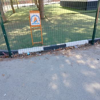 Okul Çevresindeki Hafriyat Ve Temizlik Sorununa Acil Çözüm Bekliyoruz