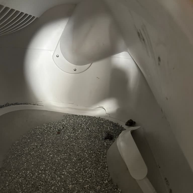 Kedi Tuvaleti Ped Sorunu 4 Aydır Çözülmedi, Mağduriyetim Devam Ediyor