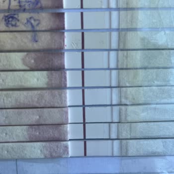 Gebelik Testlerinde Sürekli Yanlış Sonuç Ve Muhatap Bulamama Mağduriyeti