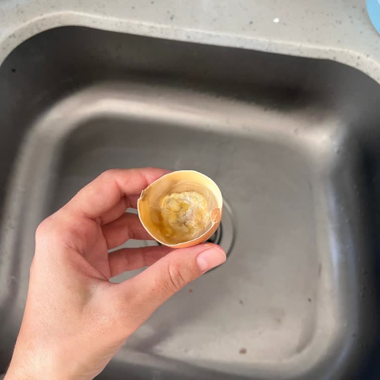 A101den Alınan Organik Yumurtalar Bozuk Ve Kokmuş Çıktı