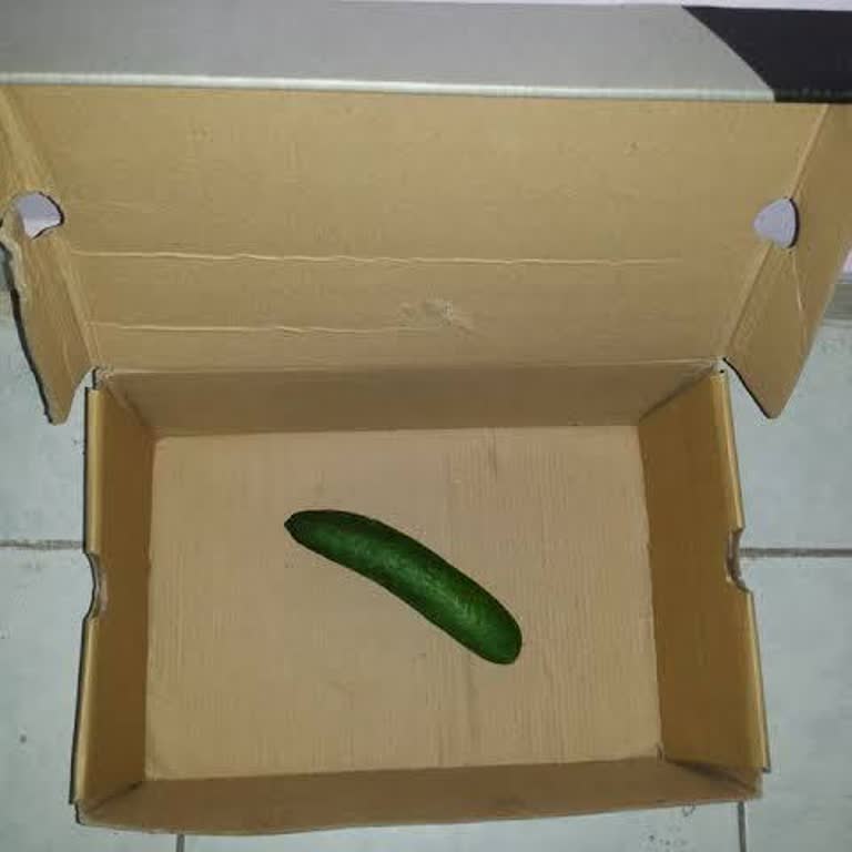 Saat Siparişi Verdim, Salatalık Gönderildi Ve Firma İletişimi Kesti