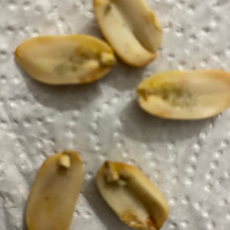 Bozuk Ürün Ve Olumsuz Şube Müdürü Deneyimi