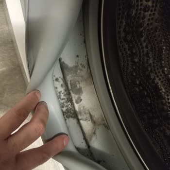 Bosch Çamaşır Makinesi Lastiğinde Küf Ve Haksız Servis Ücreti