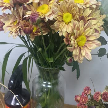 Yanlış Çiçek Ve Vazo Gönderimi Nedeniyle Mağduriyet