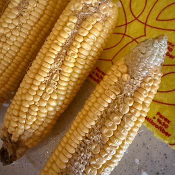 Migros Sanal Marketten Gelen Çürük Ve Böcekli Mısırlar Mağduriyet Yaşattı