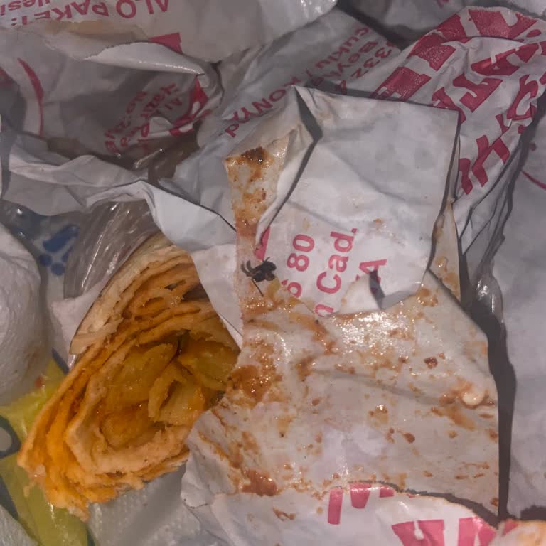 Siparişimde Ölü Sinek Ve Kötü Lezzet: Hijyen Sorunu Ve İade Talebi