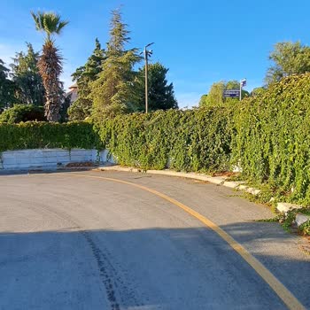 Kamuya Ait Yol Ve Parkların Duvarlarla Kapatılması Nedeniyle Mağduriyet