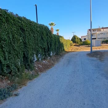 Kamuya Ait Yol Ve Parkların Duvarlarla Kapatılması Nedeniyle Mağduriyet