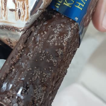 Son Kullanma Tarihi Geçmemiş Çikolatalarda Küf Sorunu Ve İade Talebi