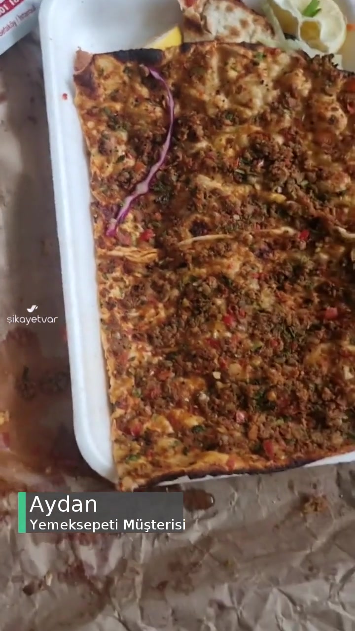 Yemeksepeti Ali Haydar Usta Sefaköy'den Alınan Yemekten Böcek Çıktı! videonun kapak resmi