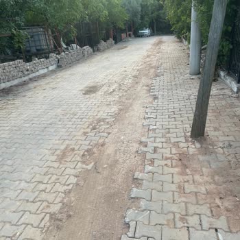 Doğalgaz Çalışmasında İzinsiz Ağaç Dalı Kesildi Mağduriyet Yaşadık