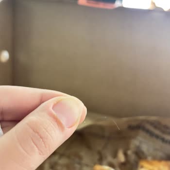 Pidem Restaurant Siparişimde Saç Çıkması Nedeniyle Yaşadığım Hijyen Sorunu