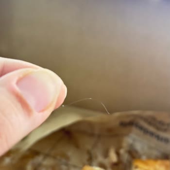 Pidem Restaurant Siparişimde Saç Çıkması Nedeniyle Yaşadığım Hijyen Sorunu