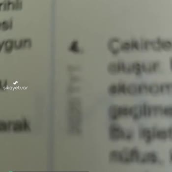 Üçdörtbeş Üç Dört Beş Sıfır Risk Paragraf 2024
