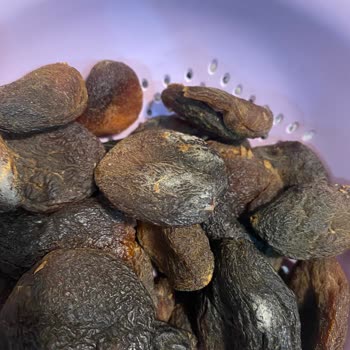 Aldığım Çerezya Gün Kurusu Küflü Ve Kötü Kokulu Çıktı