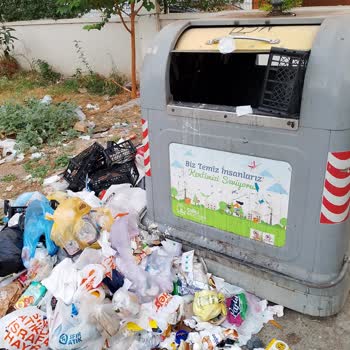 Çöp Yığınları Bir Aydır Toplanmıyor Mahalle İlgisizlikten Şikayetçi