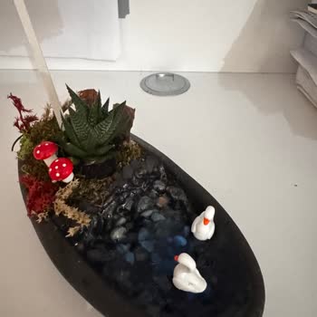 Sipariş Edilen Kaktüs Aranjmanı Beklentileri Karşılamadı Ve Müşteri Hizmetlerinden Dönüş Alınamadı