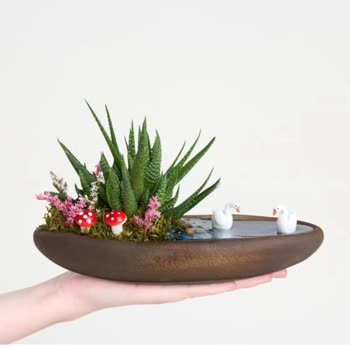 Sipariş Edilen Kaktüs Aranjmanı Beklentileri Karşılamadı Ve Müşteri Hizmetlerinden Dönüş Alınamadı