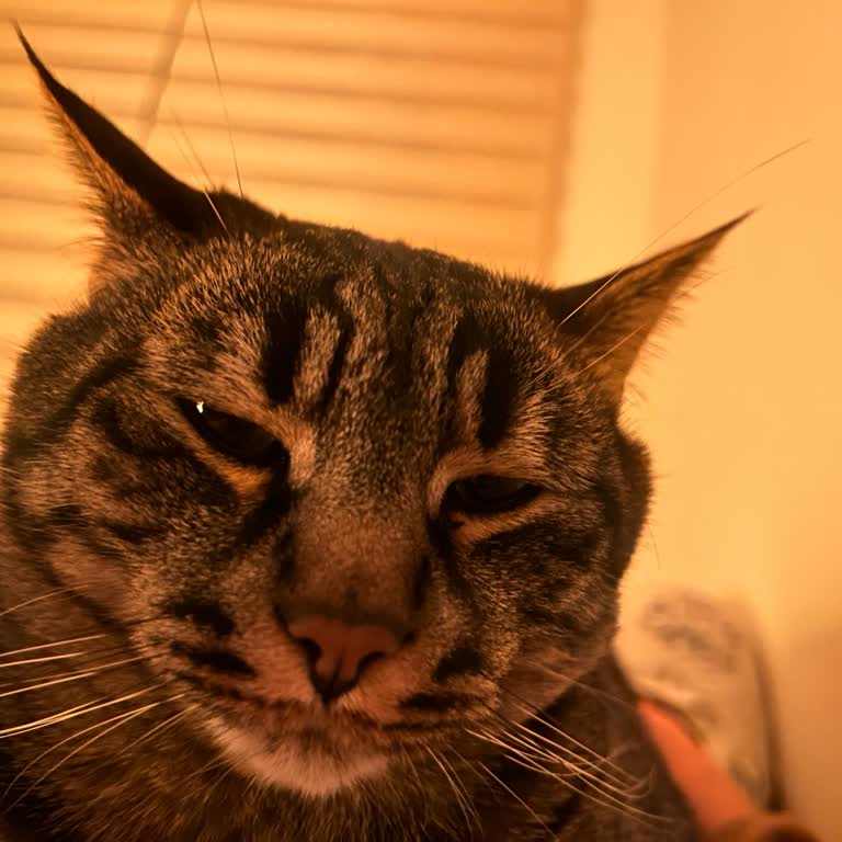 Tüm Denemelere Rağmen İnternet Hız Ve Çekim Sorunum Çözülmedi