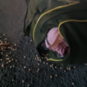 Buzlu Otobüsünde Eşyalarım Zarar Gördü, Şoförler Sorumluluk Almadı