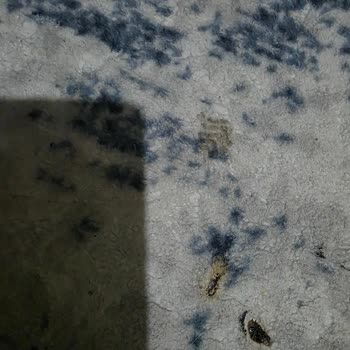 Trendyol Yanıcı Cihaz Nedeniyle Evimde Güvenlik Tehlikesi Ve İade Sorunu Yaşıyorum