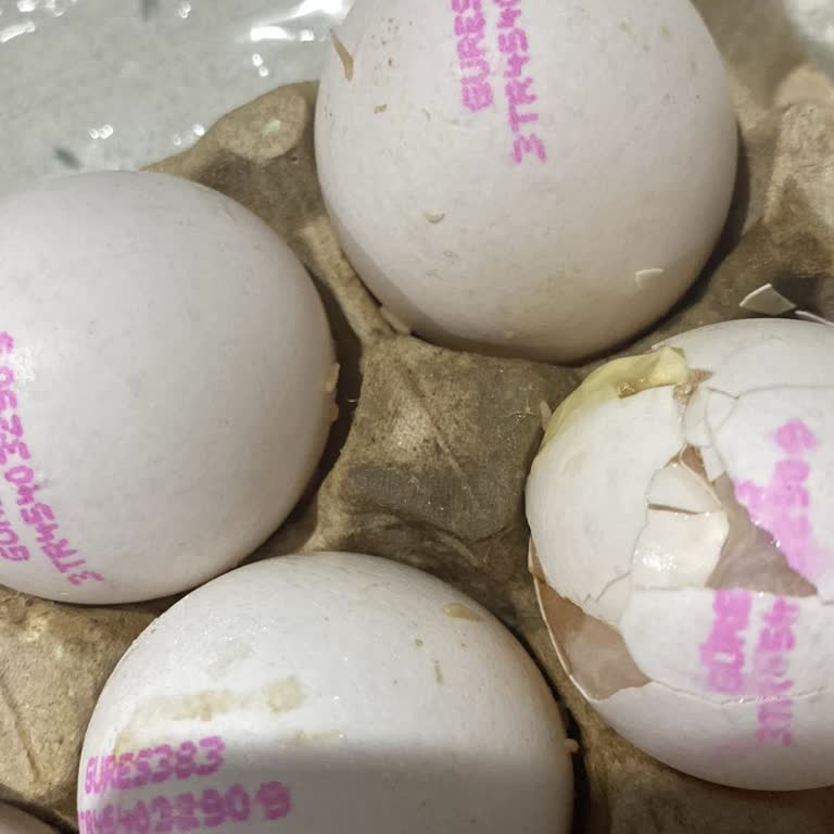 Kırık Ve Kurtlu Yumurta, Teslimat Sorunu Ve İade Belirsizliği