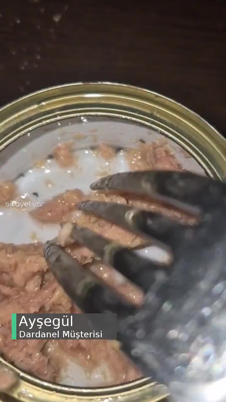 Dardanel Ton Balığı İçinden Çıkan Siyah Cisimler! videonun kapak resmi