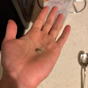 Aldığım Kuru Üzümden Böcek Çıktı, Sağlığım Tehlikeye Girdi