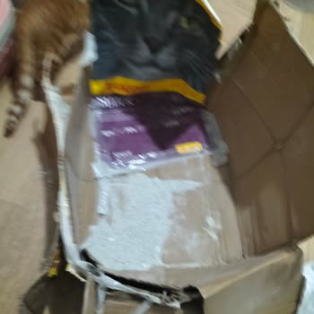 Yanlış Ve Kirli Ürün Teslimatı Sonrası Mağduriyet