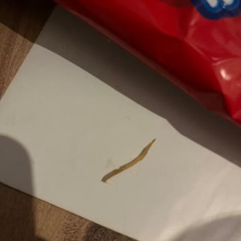 Cipso Ketçaplı Paketinden Yabancı Madde Çıktı, Mağduriyetim Giderilmiyor