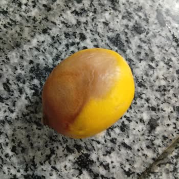 Gönderilen Bozuk Ürün Ve Yetersiz Çözüm Süreci