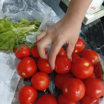 Gönderilen Bozuk Ürün Ve Yetersiz Çözüm Süreci