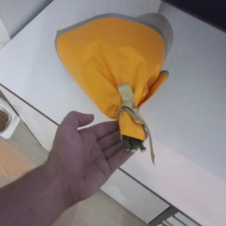 Siparişimde Yanlış Ve Kalitesiz Ürün Gönderildi, Ücret İadesi Talep Ediyorum